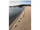 40 Wireless Station Road, Emita TAS 7255