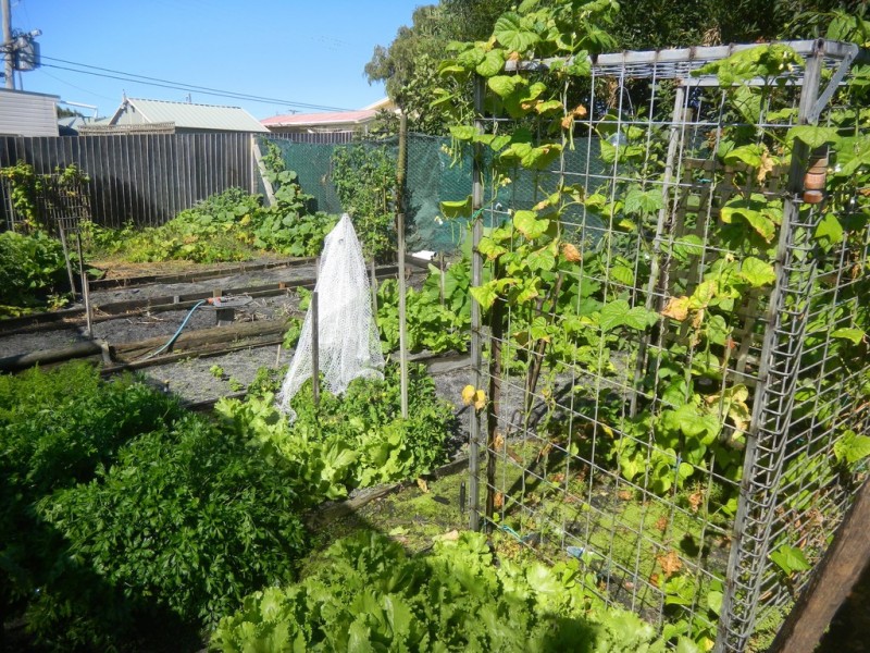 16 James Street, Whitemark TAS 7255