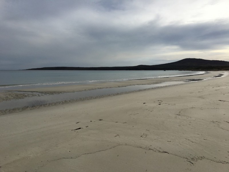 Lot 40 Thunder and Lightning Road, Cape Barren Island TAS 7257