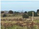 Lot 40 Thunder and Lightning Road, Cape Barren Island TAS 7257