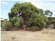 PID 1881516 North East River Road, Palana TAS 7255