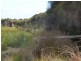 473 Palana Road, Whitemark TAS 7255
