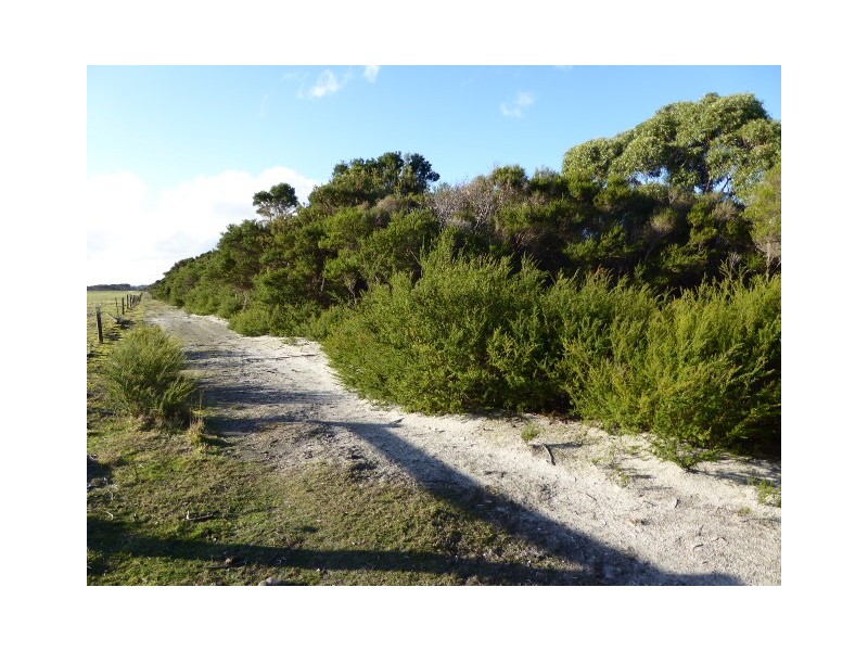 Lot 1 Darts Road, Lady Barron TAS 7255