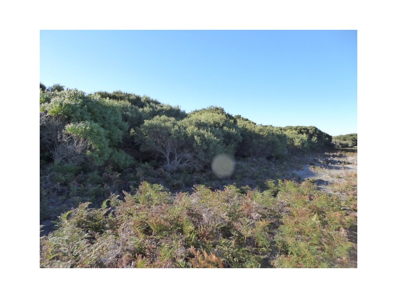 Lot 3 Pot Boil Road, Lady Barron TAS 7255