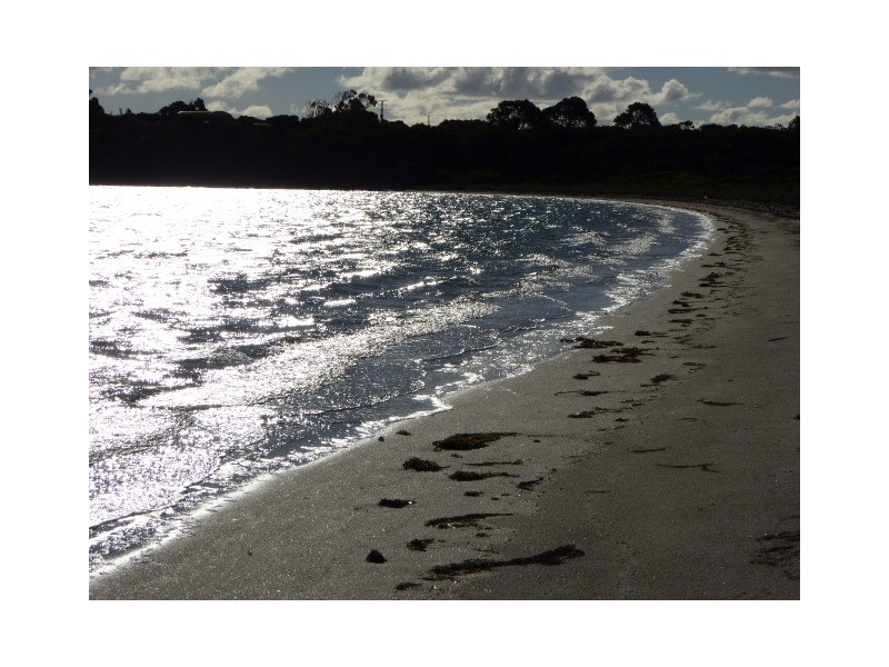 Lot 3 Pot Boil Road, Lady Barron TAS 7255