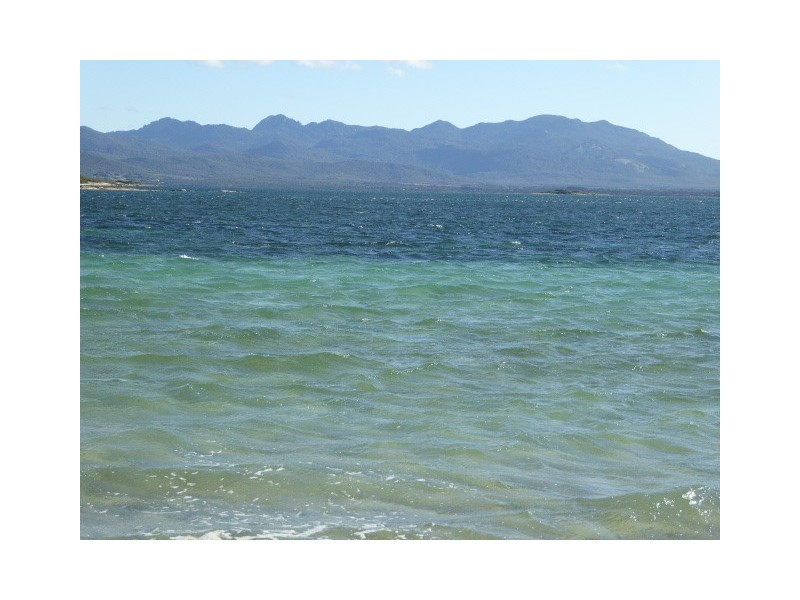 Lot 3 Pot Boil Road, Lady Barron TAS 7255