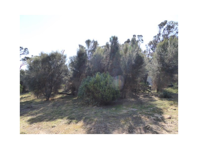 PID 6423100 Port Davies Road, Emita TAS 7255