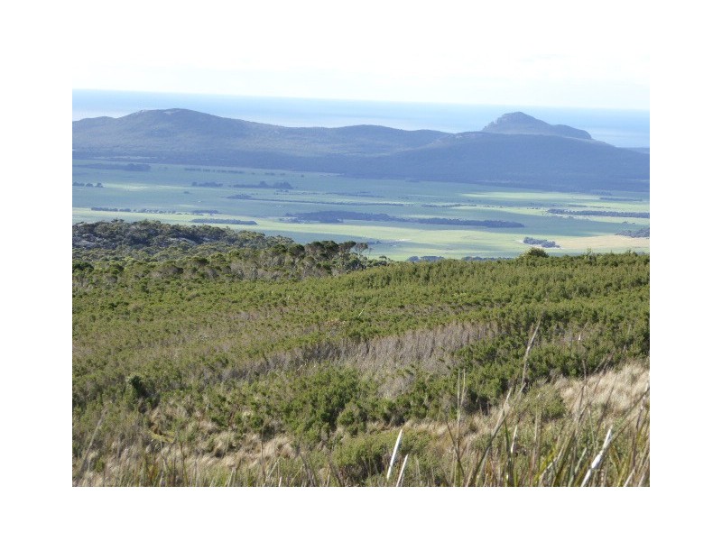 . Walkers Lookout Road, Whitemark TAS 7255