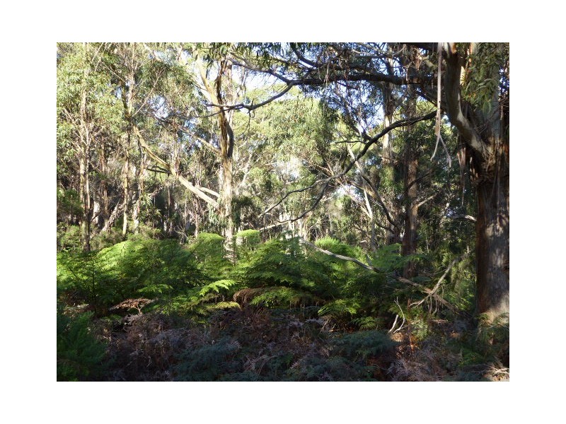 . Walkers Lookout Road, Whitemark TAS 7255
