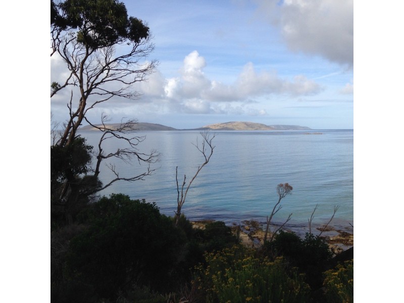 PID 2929008 Palana Road, Palana TAS 7255