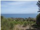 97 Port Davies Road, Emita TAS 7255