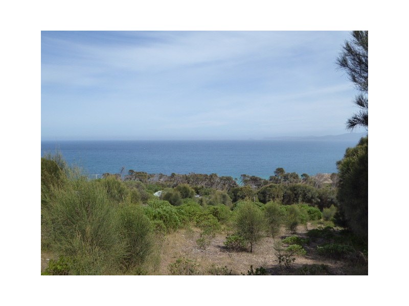 97 Port Davies Road, Emita TAS 7255