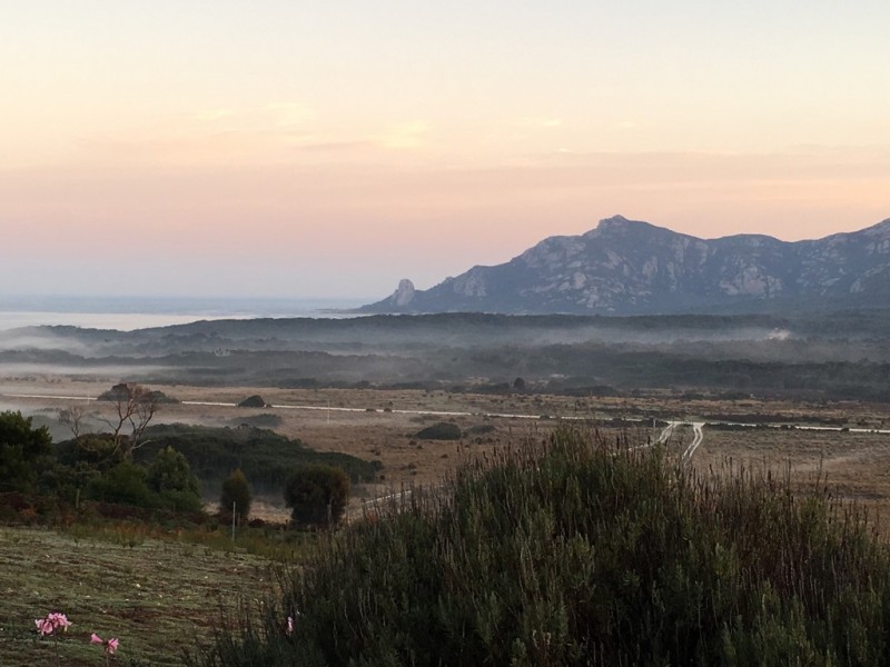 375 Killiecrankie Road, Killiecrankie TAS 7255