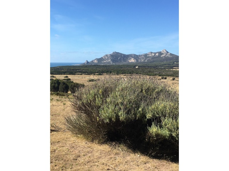 375 Killiecrankie Road, Killiecrankie TAS 7255