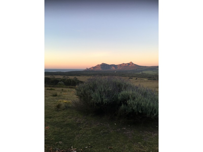 375 Killiecrankie Road, Killiecrankie TAS 7255