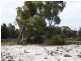 5 Vinegar Hill Drive, Lady Barron TAS 7255