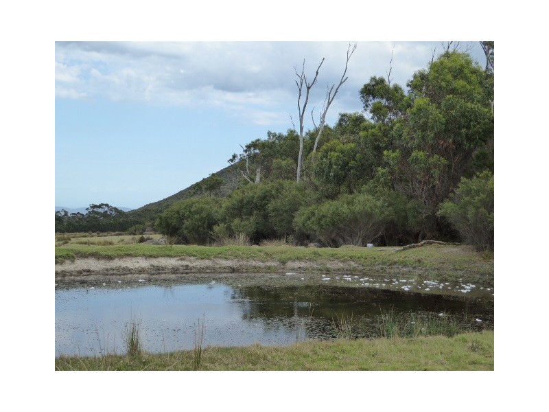 PID 6428622 Palana Road, Whitemark TAS 7255