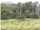 PID 6428622 Palana Road, Whitemark TAS 7255