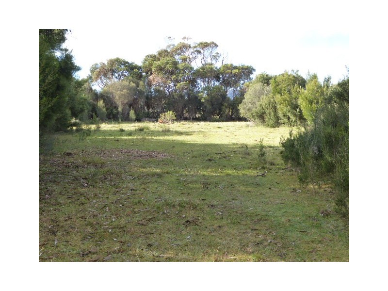 37 Bluff Road, Whitemark TAS 7255