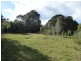 37 Bluff Road, Whitemark TAS 7255