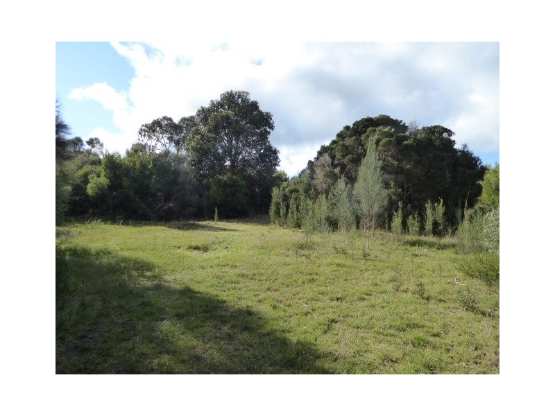 37 Bluff Road, Whitemark TAS 7255
