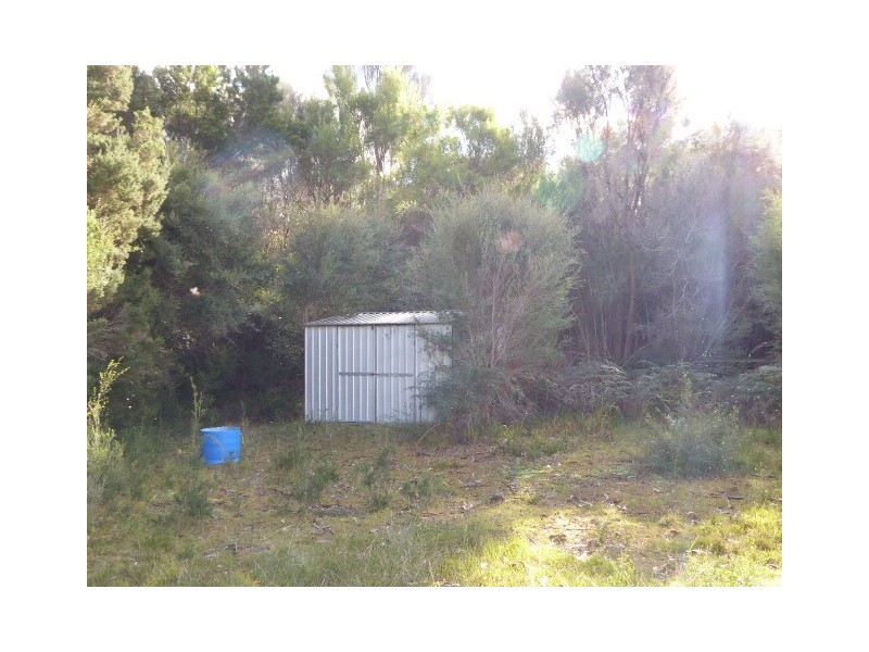37 Bluff Road, Whitemark TAS 7255