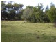 37 Bluff Road, Whitemark TAS 7255