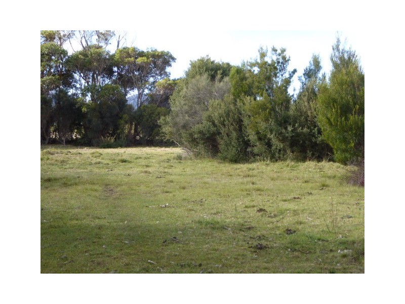 37 Bluff Road, Whitemark TAS 7255