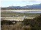37 Bluff Road, Whitemark TAS 7255