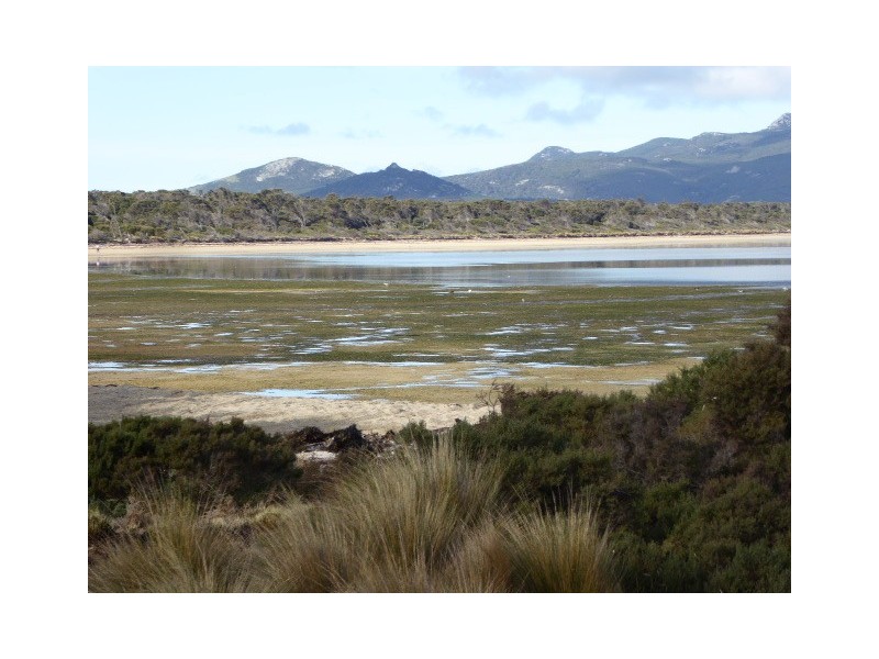 37 Bluff Road, Whitemark TAS 7255