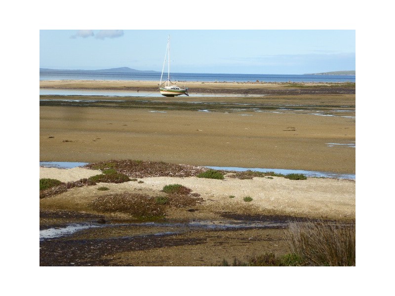 37 Bluff Road, Whitemark TAS 7255