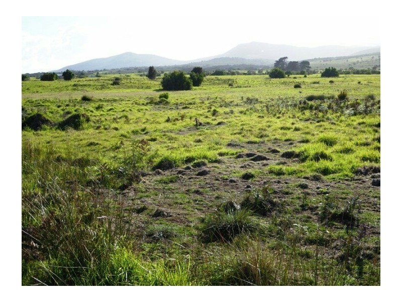 Lot 40 Thunder and Lightning Road, Cape Barren Island TAS 7257