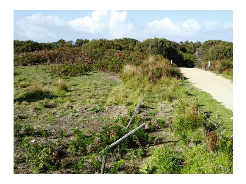 Lot 40 Thunder and Lightning Road, Cape Barren Island TAS 7257