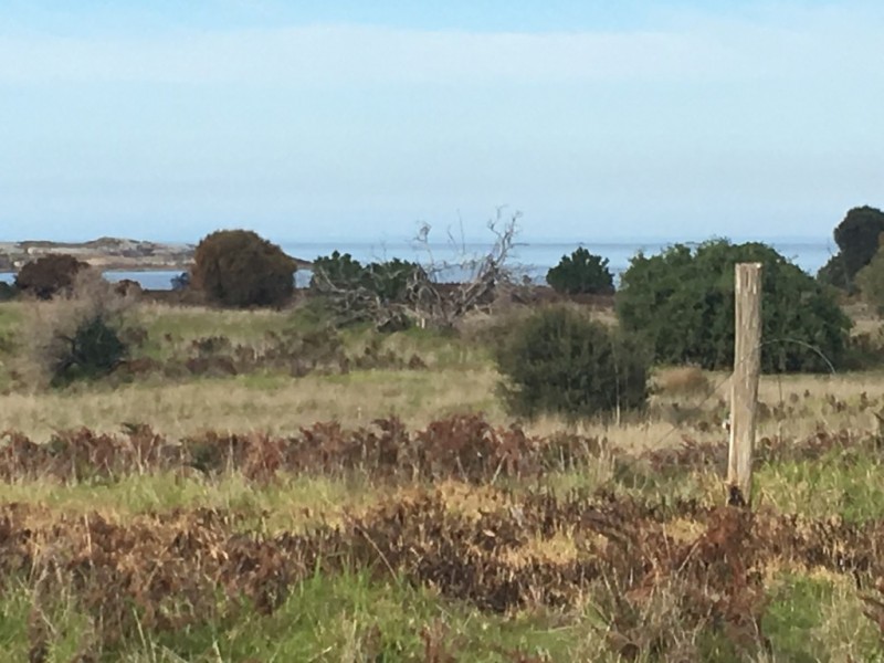 Lot 40 Thunder and Lightning Road, Cape Barren Island TAS 7257