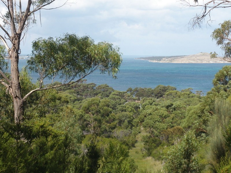 Lot 2 Badger Corner Road, Lady Barron TAS 7255