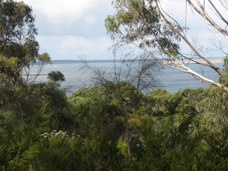 Lot 2 Badger Corner Road, Lady Barron TAS 7255