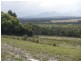 Lot 2 Badger Corner Road, Lady Barron TAS 7255