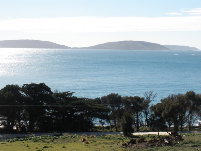 Lot 1 Palana Road, Palana TAS 7255