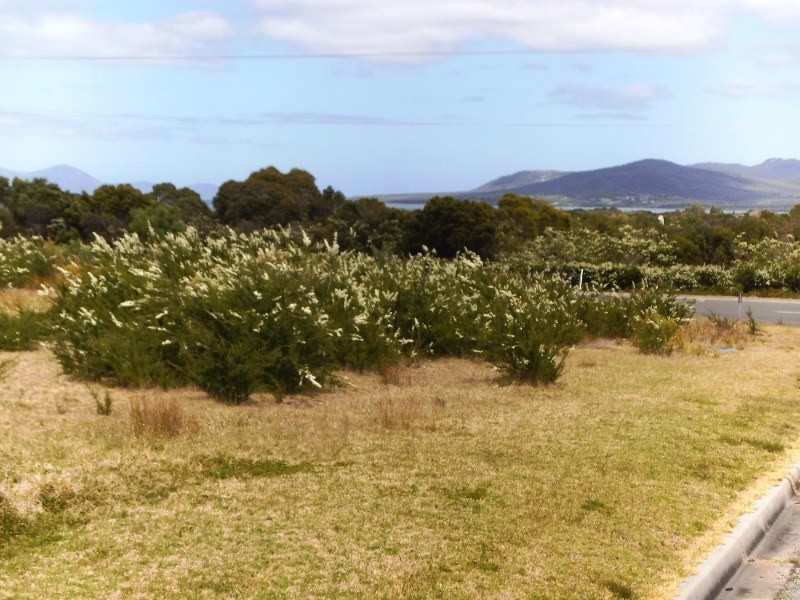 2377 Lady Barron Road, Lady Barron TAS 7255