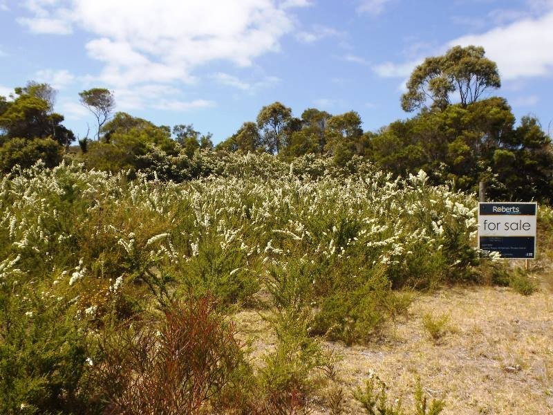 2377 Lady Barron Road, Lady Barron TAS 7255