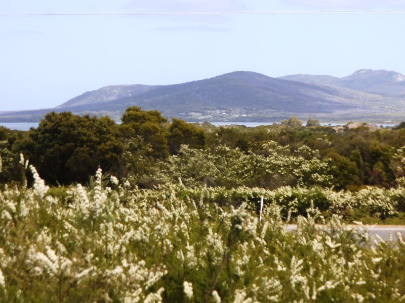 2377 Lady Barron Road, Lady Barron TAS 7255