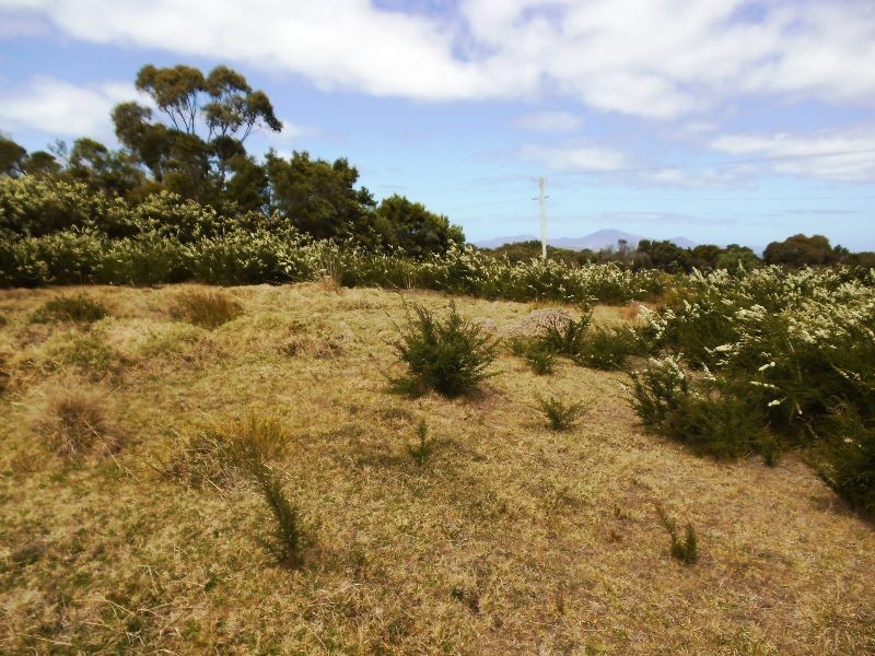 2377 Lady Barron Road, Lady Barron TAS 7255