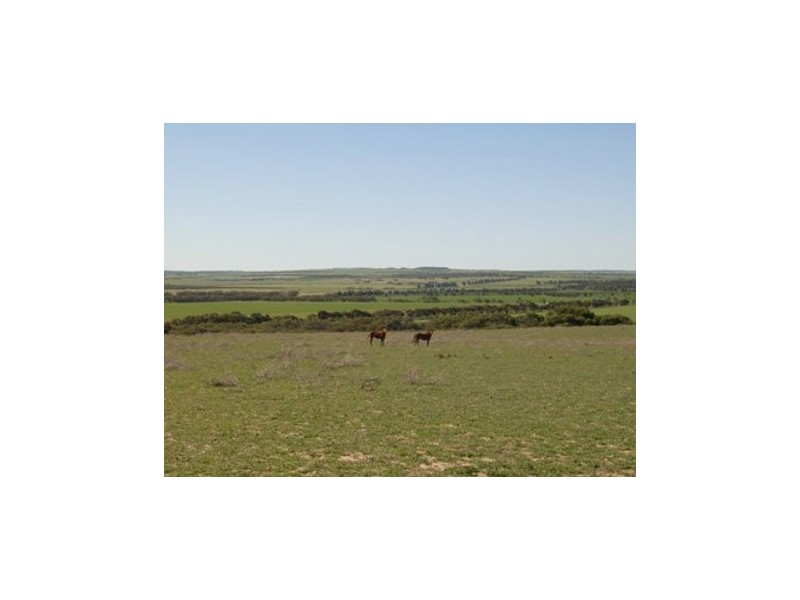 1 Wye Farm Road, Dongara WA 6525