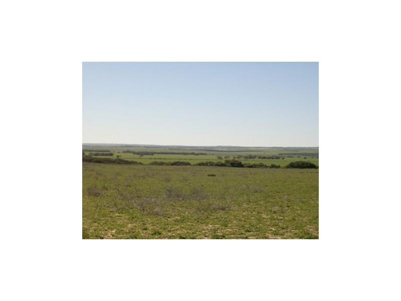 1 Wye Farm Road, Dongara WA 6525