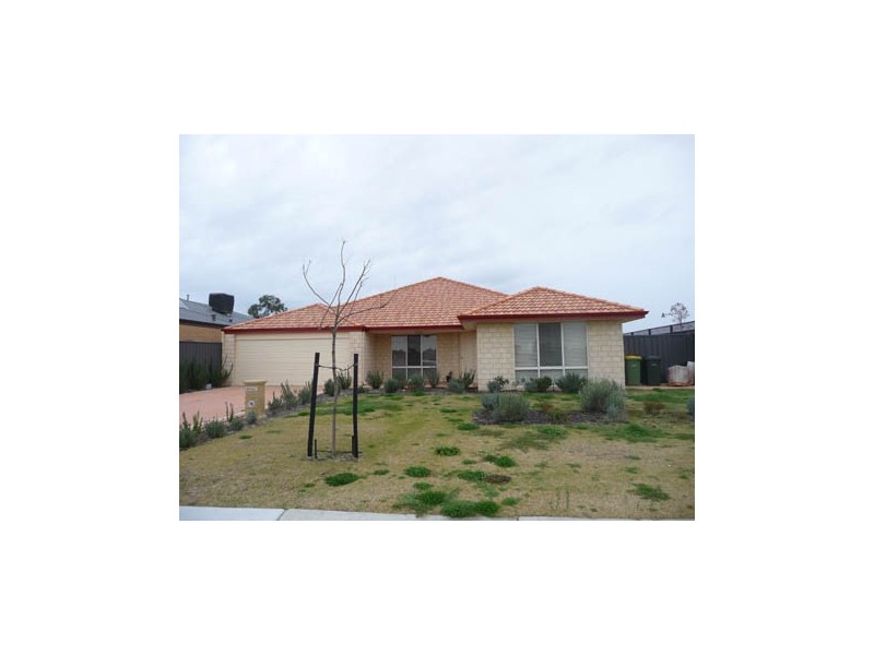 17 Bettong Street, Baldivis WA 6171