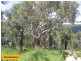 24 Contour Road, Roleystone WA 6111