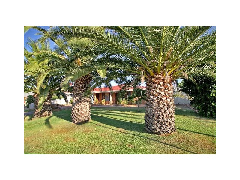 10 Bulrush Drive, Bibra Lake WA 6163