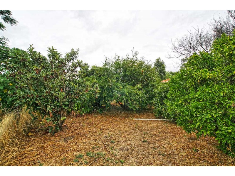 32 Dale Road, Armadale WA 6112