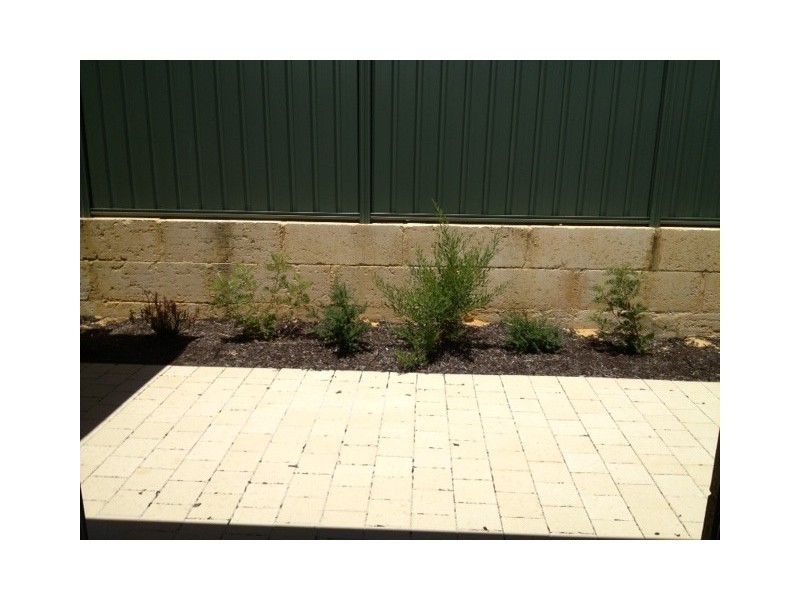 14, 19 Serls Street, Armadale WA 6112