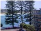 6/186 Pacific Parade, Dee Why NSW 2099